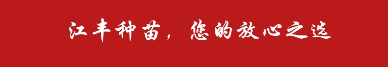 该图片无法正常显示